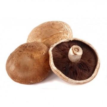 Champignon de paris brun...