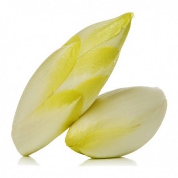 Endive  (500g)