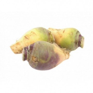 Rutabaga Environ (500g)