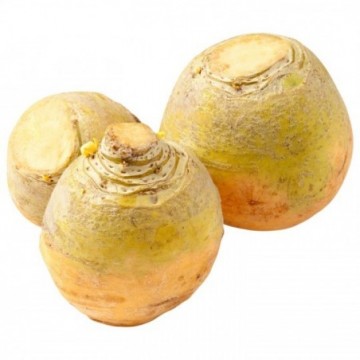 Navet boule d’or (500g)