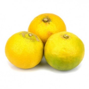 Citron bergamote  (500g)