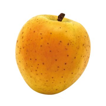 Pomme délice d’or  (500g)