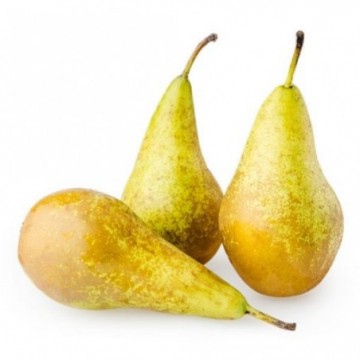 Poire conférence  (500g)